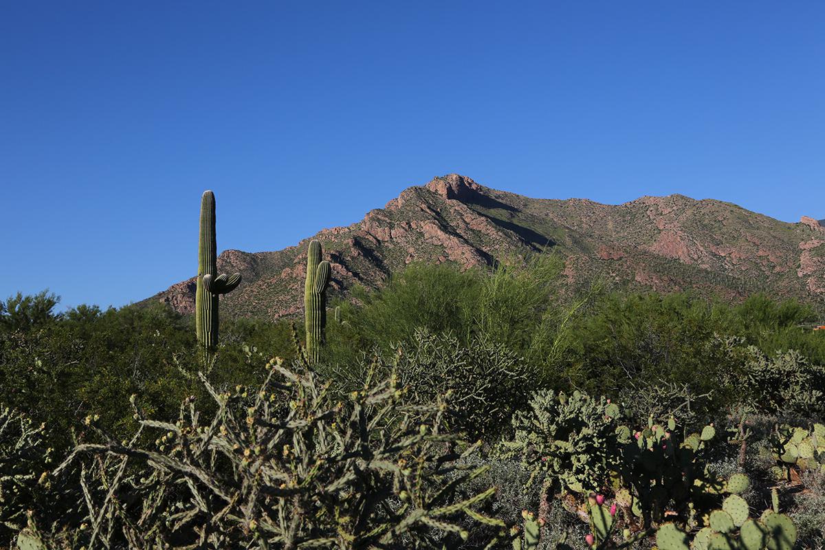 Tucson Mountain 2.jpg